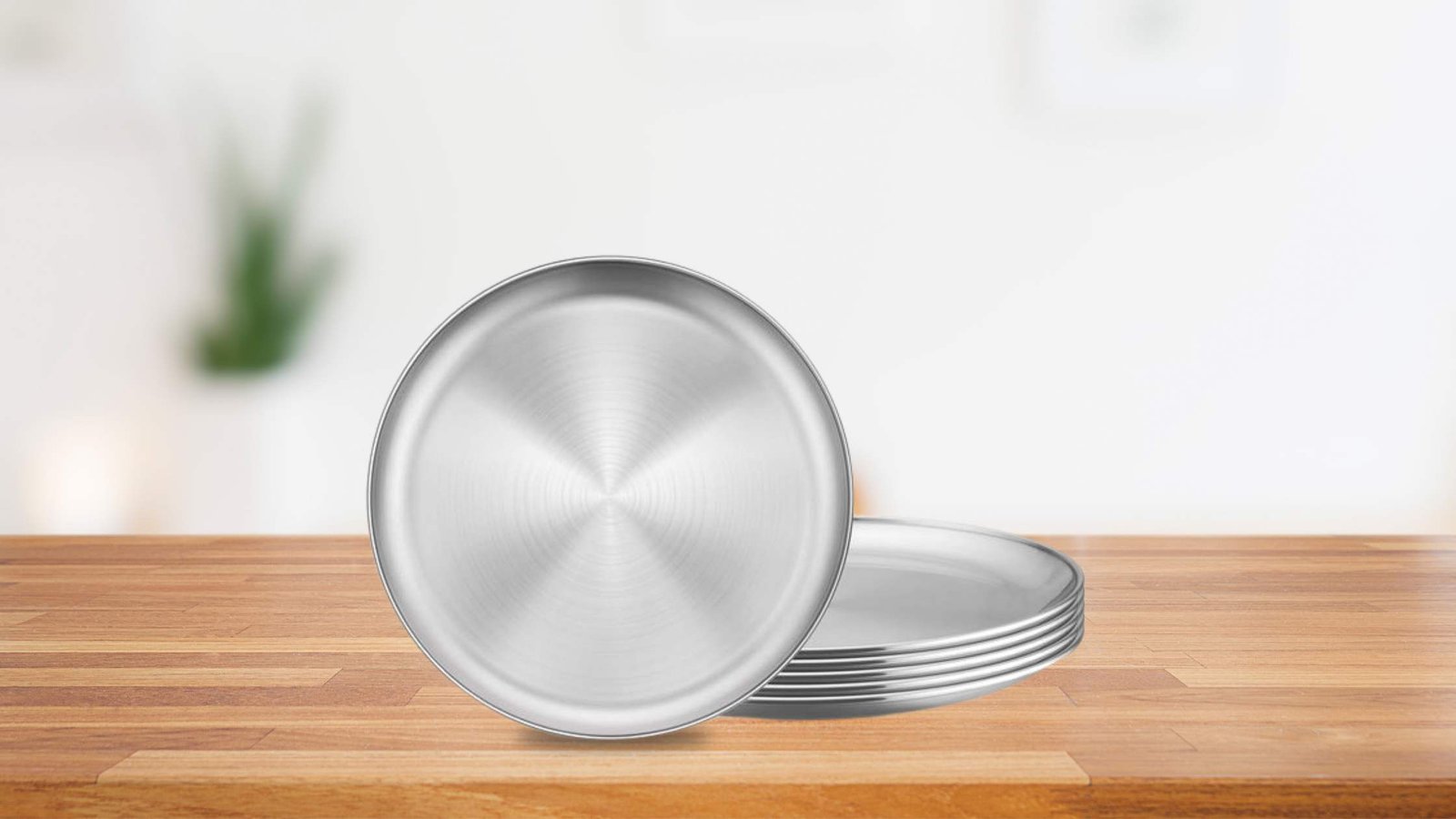 Steel dinner plate